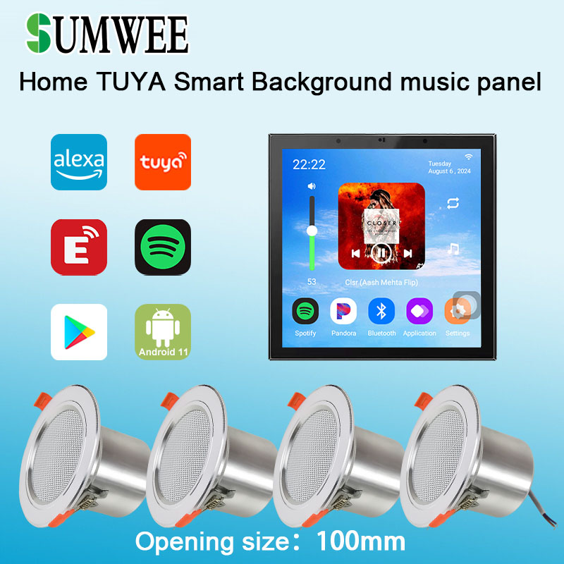 4 Inch Android 11 Tuya Smart H - огляд і ціна Audio Music For Background