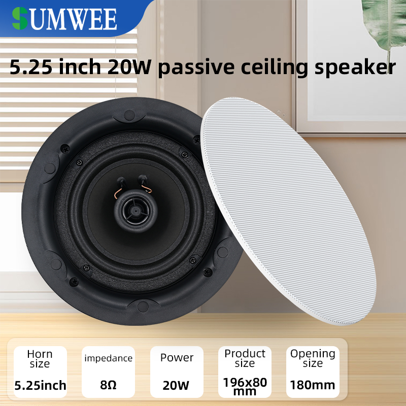 5.25 inch 8 ohm Ceiling Speake - огляд і ціна Audio Music For Background
