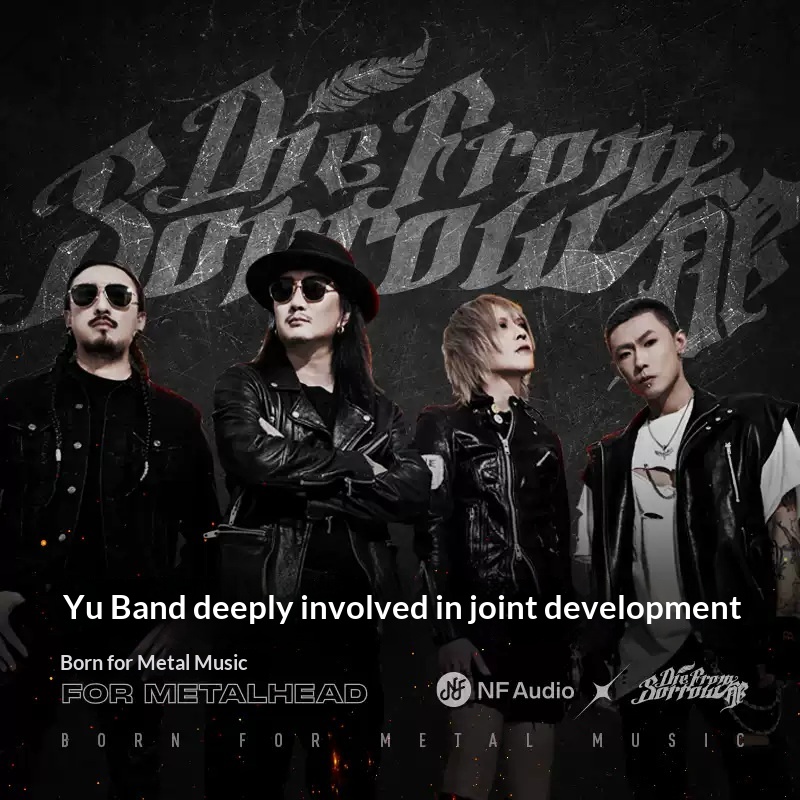 NF Audio NA2 Metal Dynamic Dri - огляд і ціна Audio Music Editing