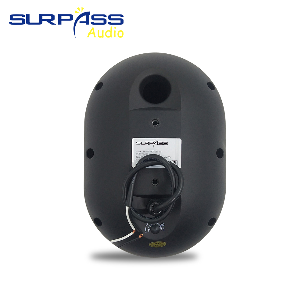 30W Wall-mounted Speaker Water - огляд і ціна Audio Music For Background