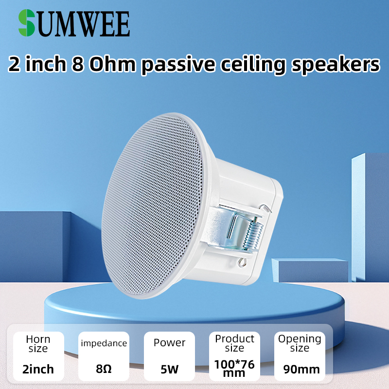 2Inch Mini 8 Ohm Ceiling Speak - огляд і ціна Audio Music For Background