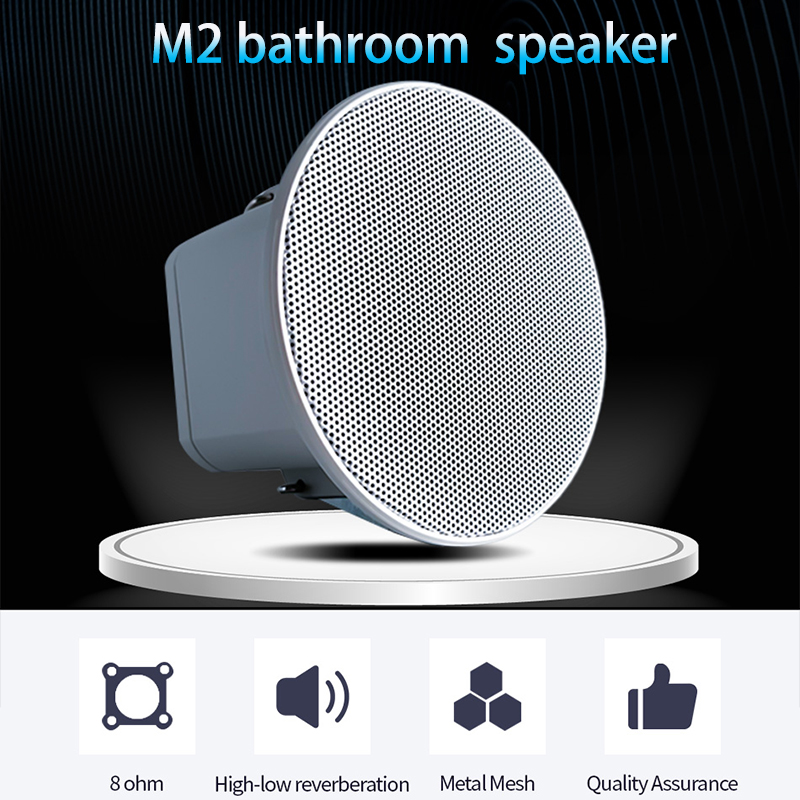 2Inch Mini 8 Ohm Ceiling Speak - огляд і ціна Audio Music For Background